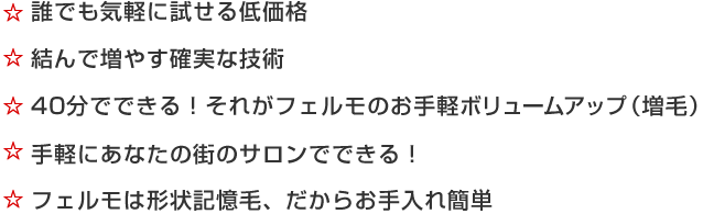 felmoの特徴